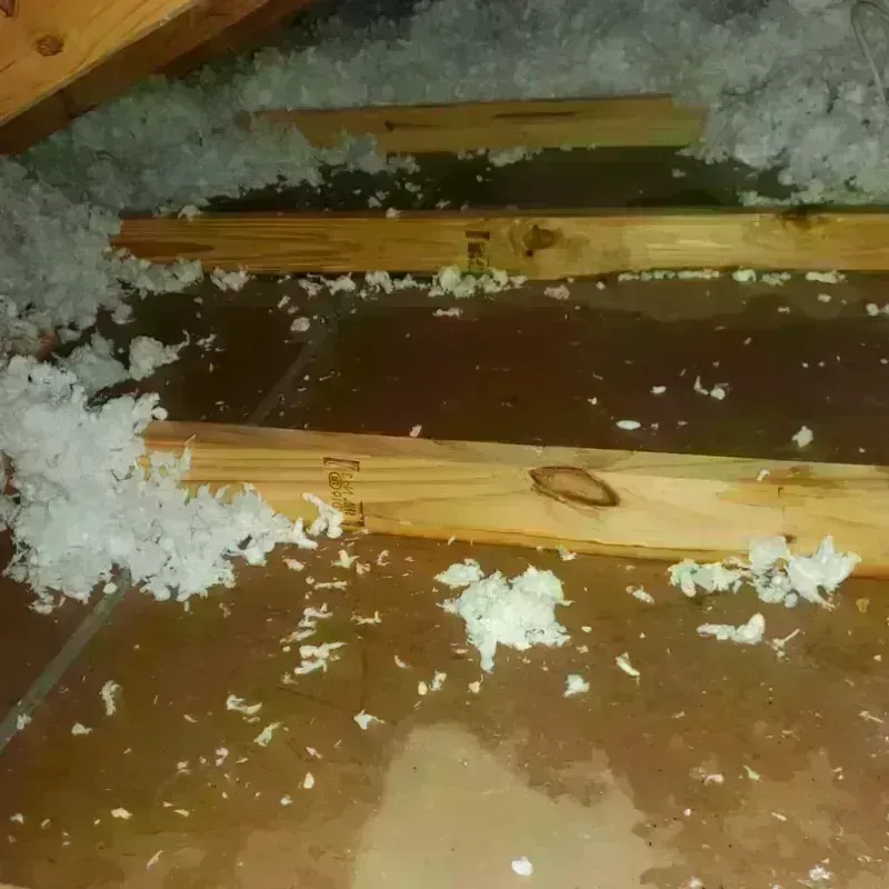 Attic Water Damage in Plattsburgh, NY