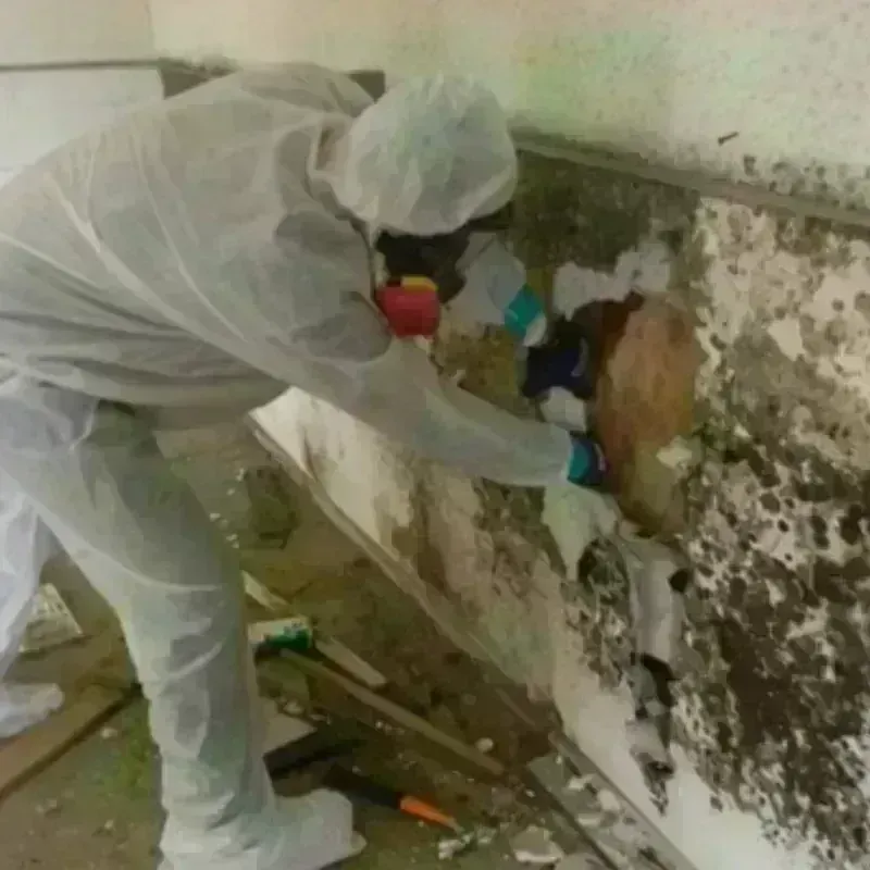 Mold Remediation and Removal in Plattsburgh, NY